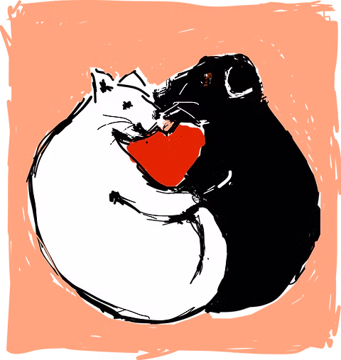 Dyreklinikken På Toppen